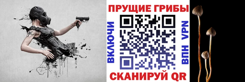 Галлюциногенные грибы ЛСД  Любим 